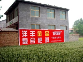 阿坝州如何让墙体广告展现最大化效果